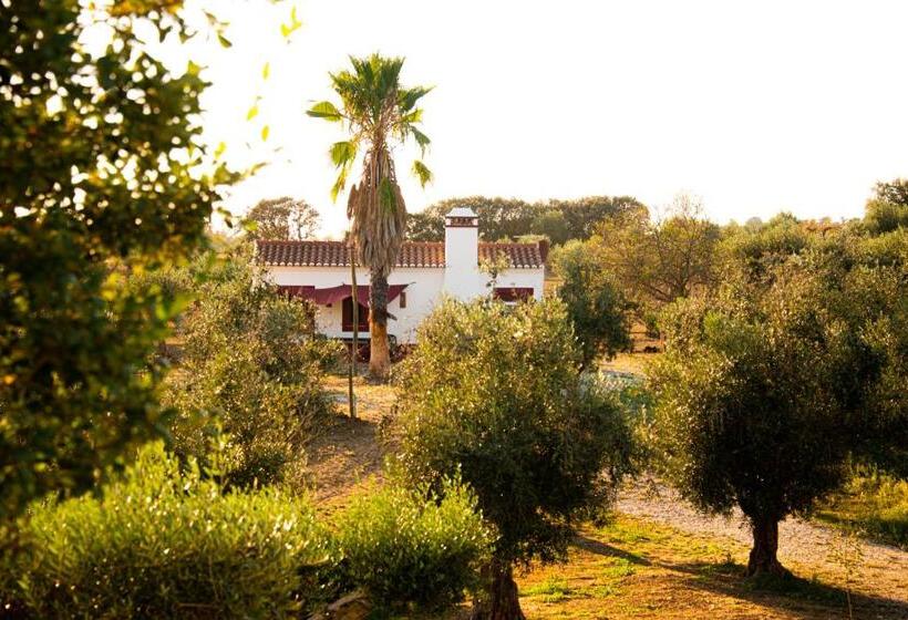 فيلا غرفة نوم واحدة, Monte Da Coelha Al