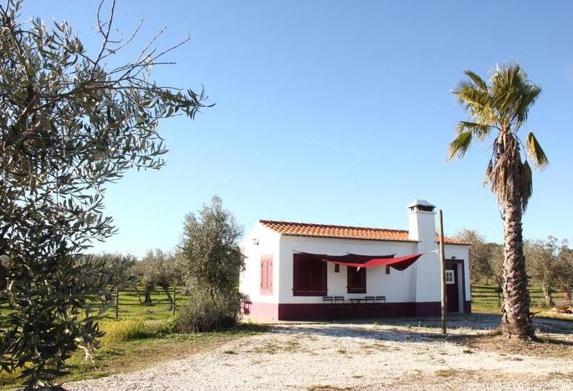 فيلا غرفة نوم واحدة, Monte Da Coelha Al