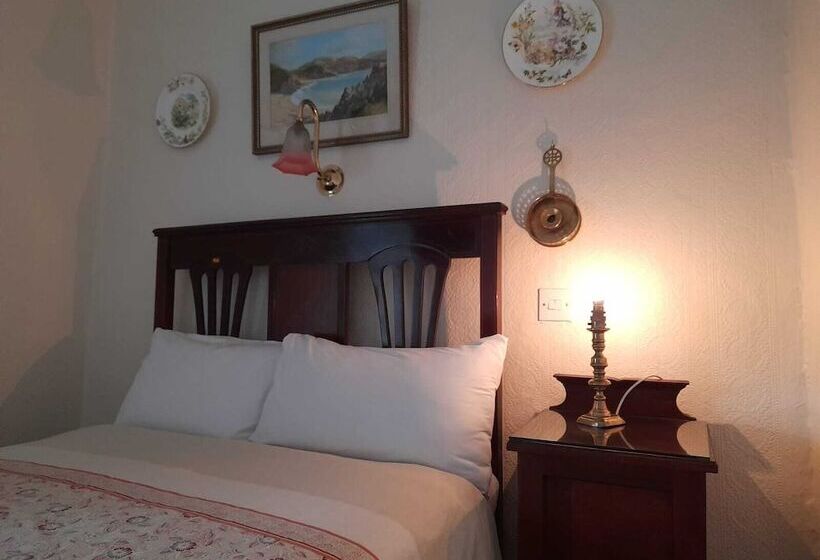 スタンダードシングルルーム, Red Setter Town House B&b