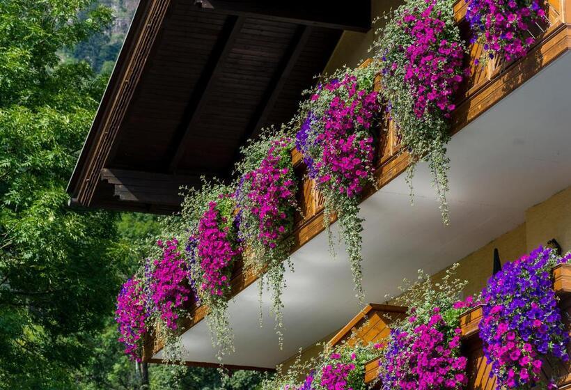 דירת משפחה, Pension Appartements Kirchenwirt