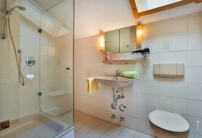 スタンダードシングルルーム, Appartements Hochödlehen
