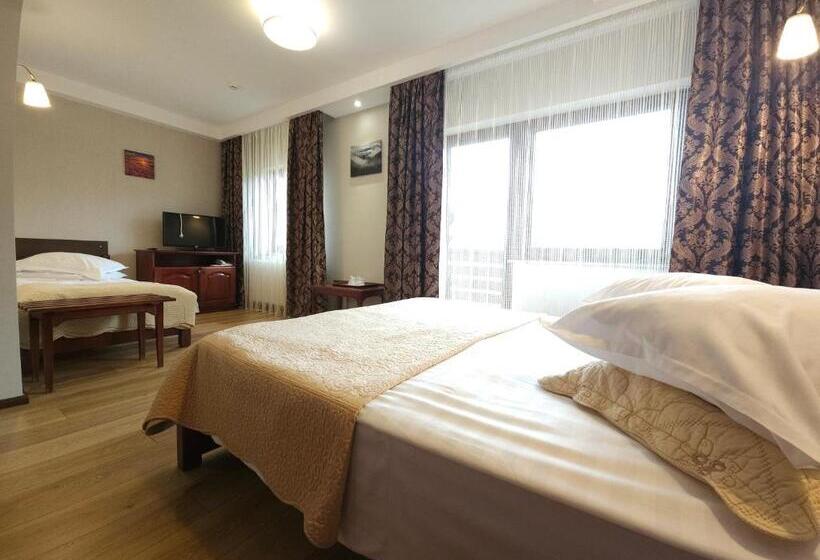 חדר דלוקס לשלושה, Pensiunea Mușatinii