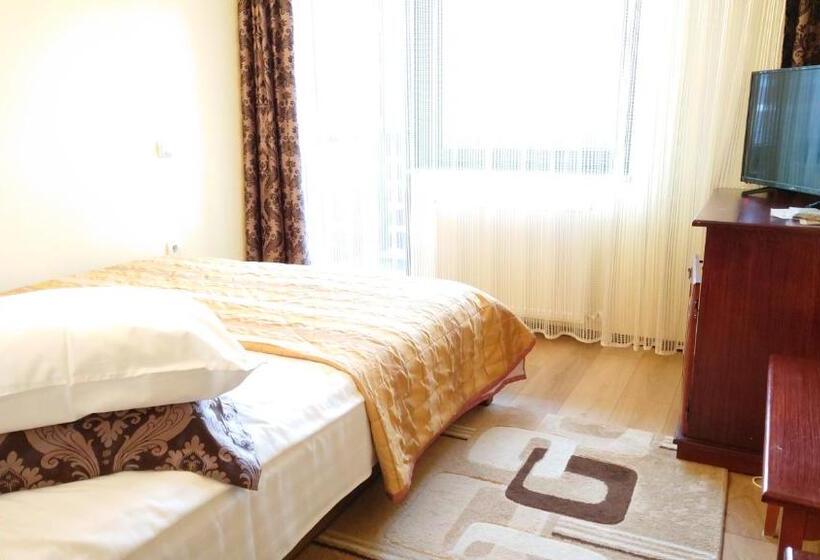 חדר סטנדרט, Pensiunea Mușatinii