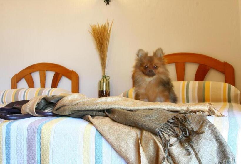 스탠다드 룸, Doña Ruidera