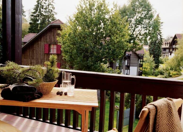 Апартаменты 1 Спальня, Hapimag Ferienwohnungen Braunlage