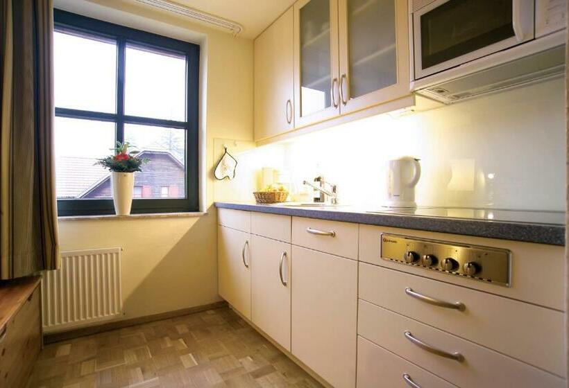 آپارتمان 1 خوابه, Hapimag Ferienwohnungen Braunlage