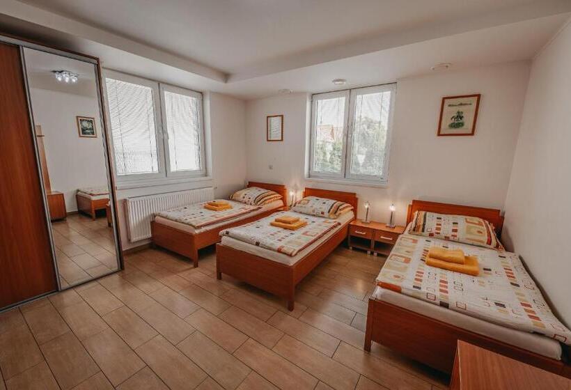 اتاق استاندارد سه نفره, City Penzion