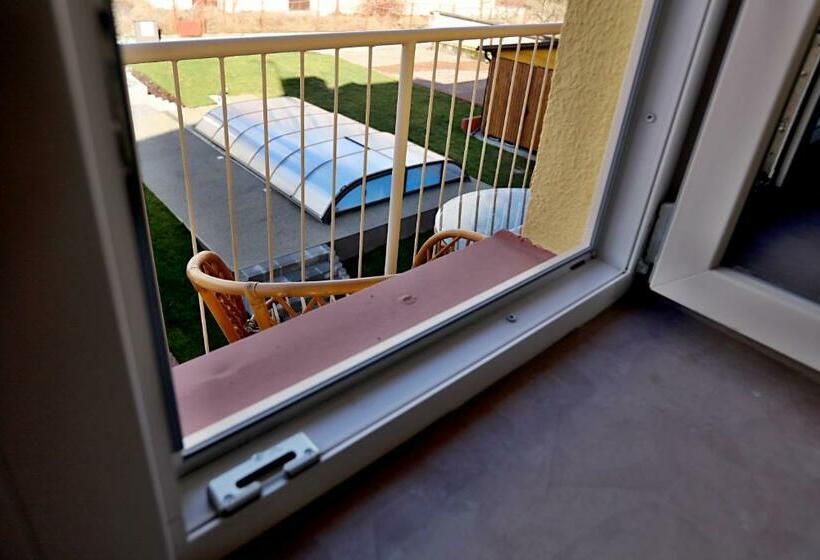 Номер Стандарт, Pension Viola