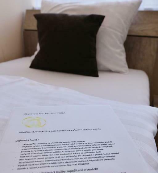 חדר סטנדרט, Pension Viola