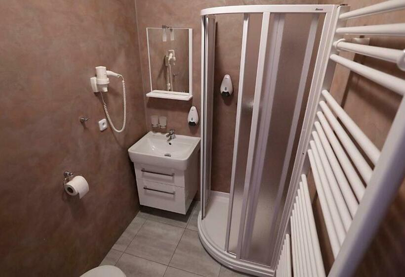 חדר סטנדרט, Pension Viola