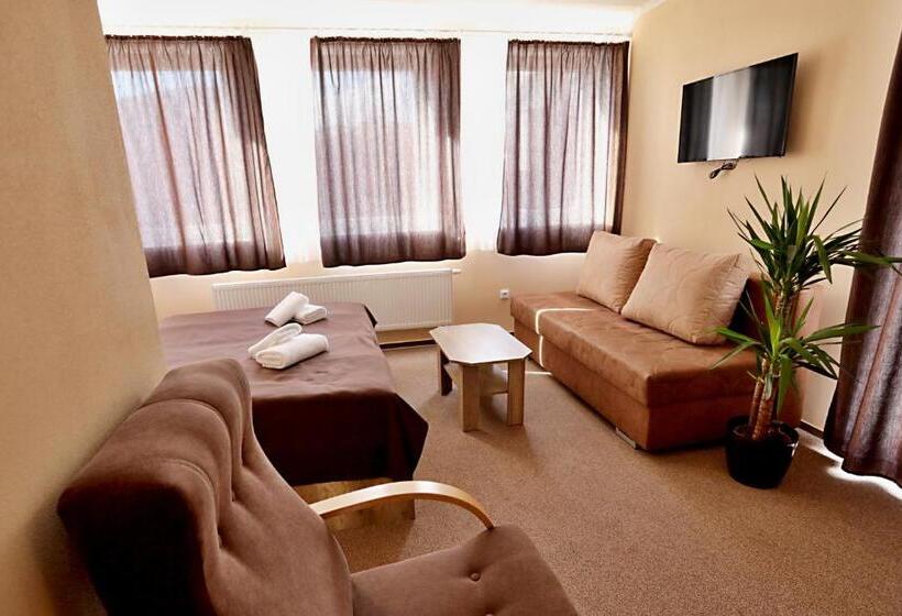 חדר בסיסי לשלושה, Pension Viola