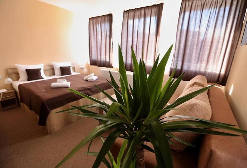 חדר בסיסי לשלושה, Pension Viola