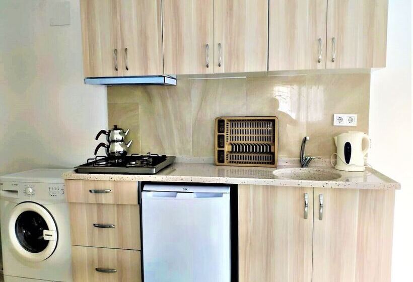 １ベッドルームアパートメント, Gurkan Apart