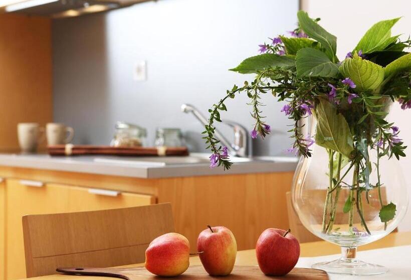 استودیوی استاندارد, Apartments And Rooms Bernik