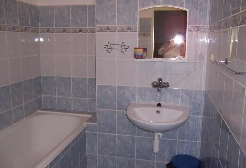 Standard-huone, Penzion Starr