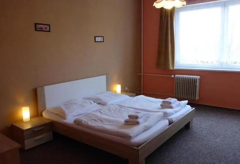 Standard-huone, Penzion Starr
