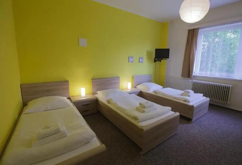 Standard Kolmen Hengen Huone, Penzion Starr