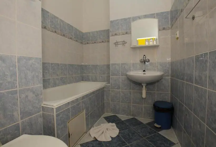 Standard Kolmen Hengen Huone, Penzion Starr