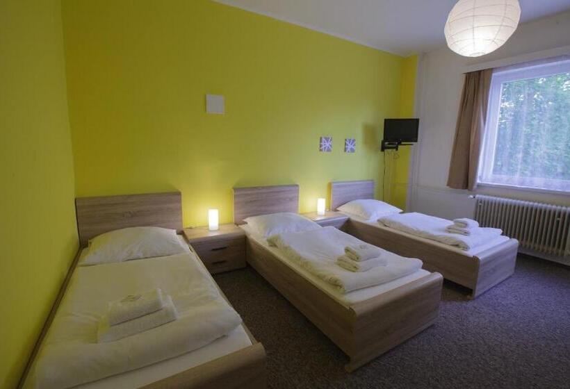 스탠다드 트리플 룸, Penzion Starr