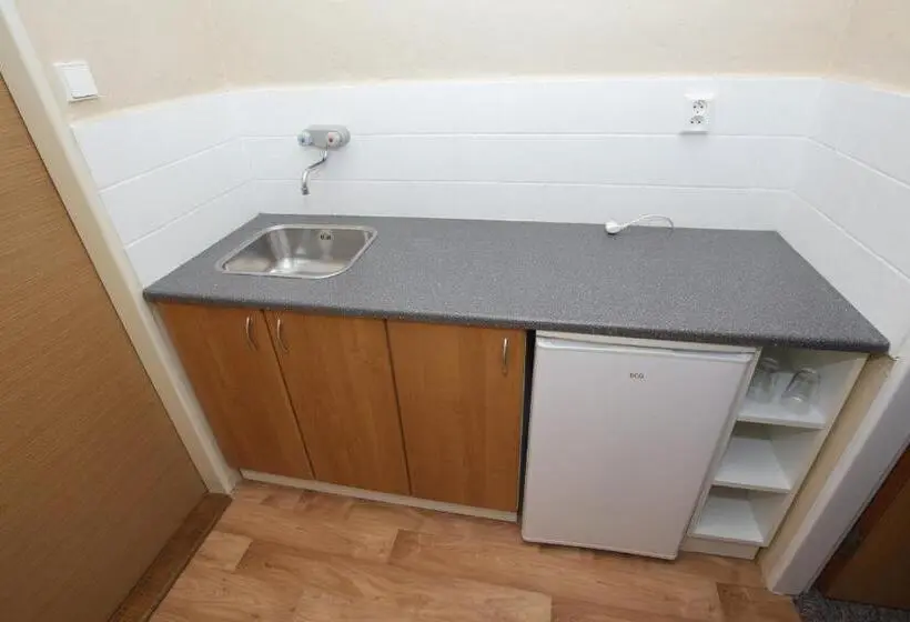 Standard Yhden Hengen Huone, Penzion Starr