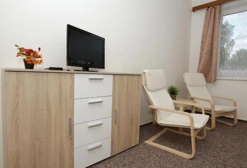 Standard Yhden Hengen Huone, Penzion Starr