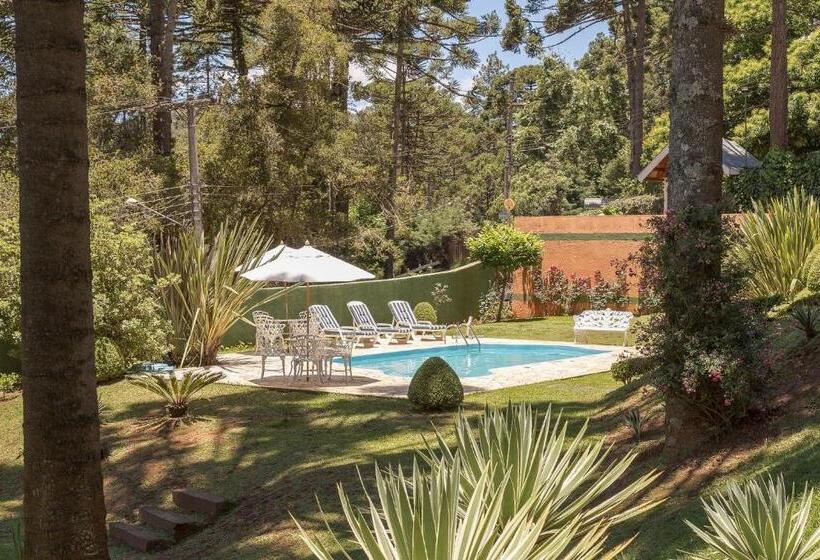 سوییت سوپریور, Pousada D Lines