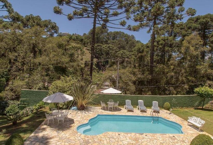 سوئیت پرزیدنت, Pousada D Lines