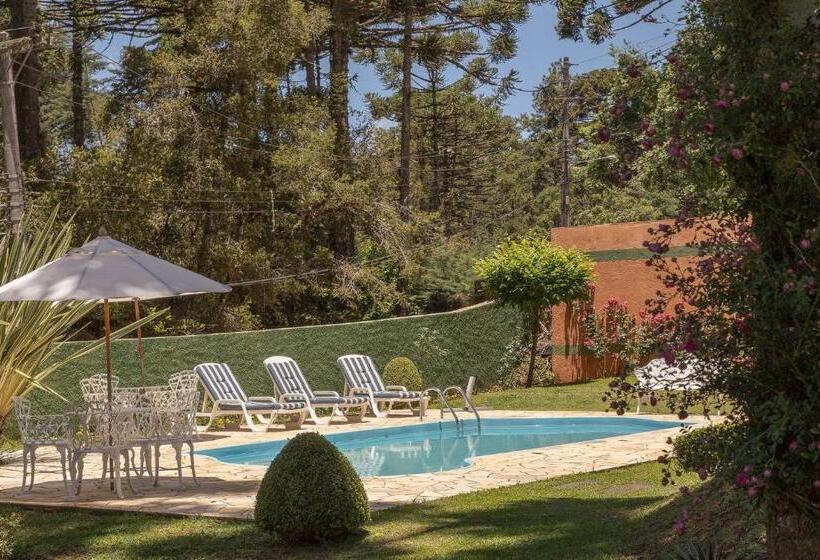 سوئیت پرزیدنت, Pousada D Lines