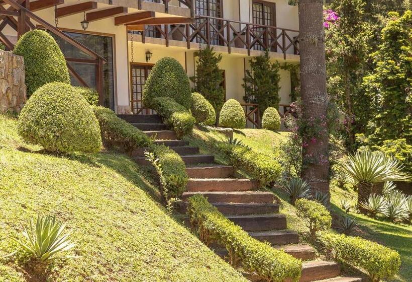 سوئیت پرزیدنت, Pousada D Lines