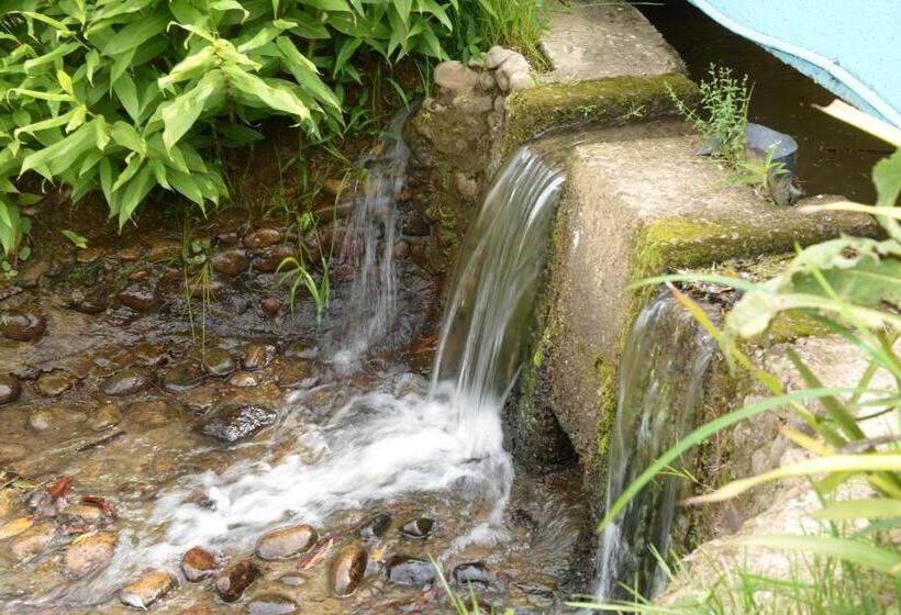 Четырехместный Номер Superior, Pousada Esmeralda