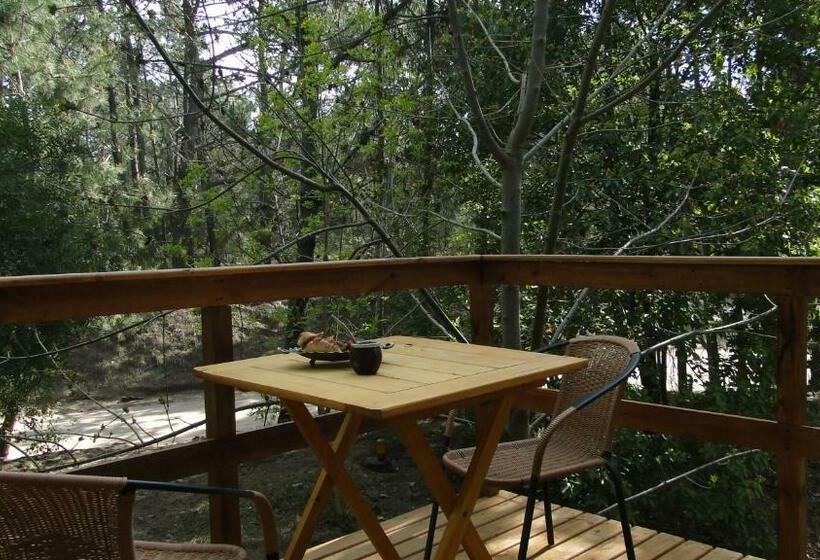 Номер Стандарт, Posada Piñen