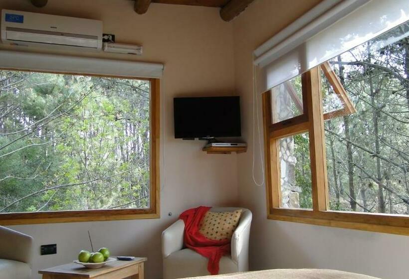 スタンダードルーム, Posada Piñen