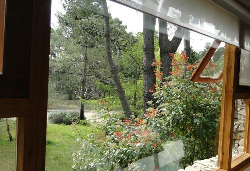 スタンダードルーム, Posada Piñen