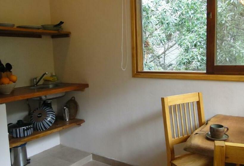 スタンダードルーム, Posada Piñen