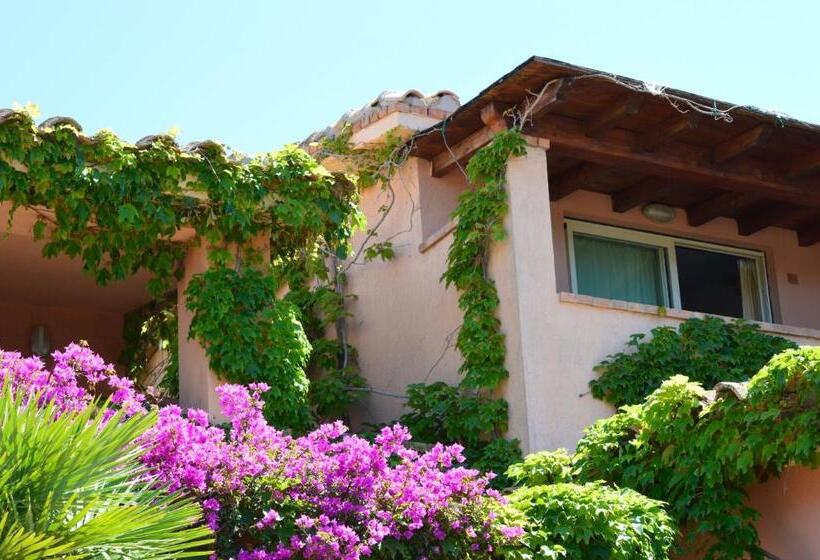 استودیوی استاندارد, Residence Fenicia