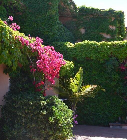 آپارتمان 1 خوابه, Residence Fenicia