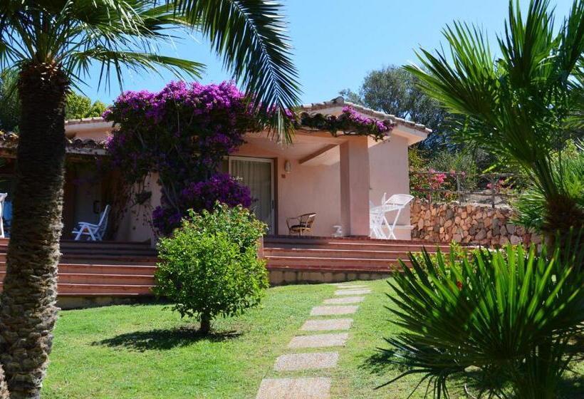 آپارتمان 1 خوابه, Residence Fenicia