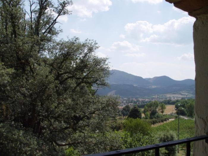 Апартаменты 1 Спальня, Agriturismo Le Vigne Di Pace