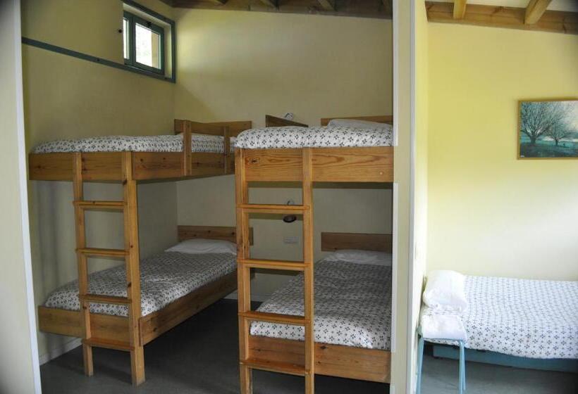 家庭间, Alvarella