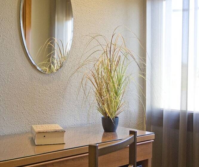 اتاق استاندارد, Hostal Barris