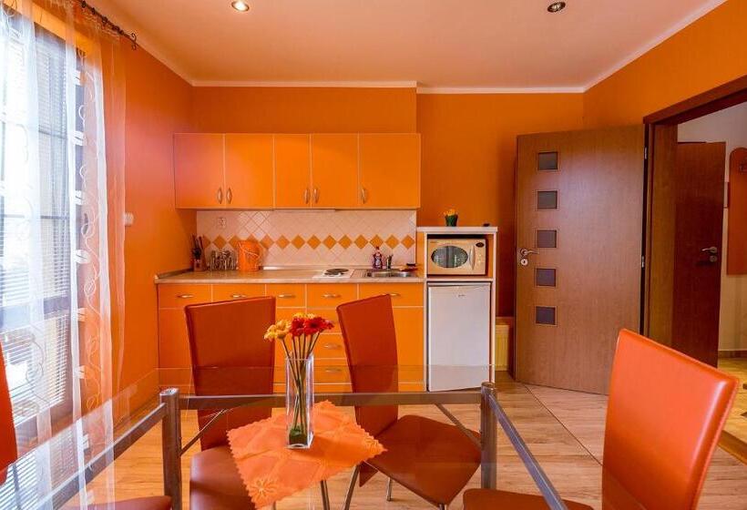 Апартаменты 1 Спальня, Penzion Sonja