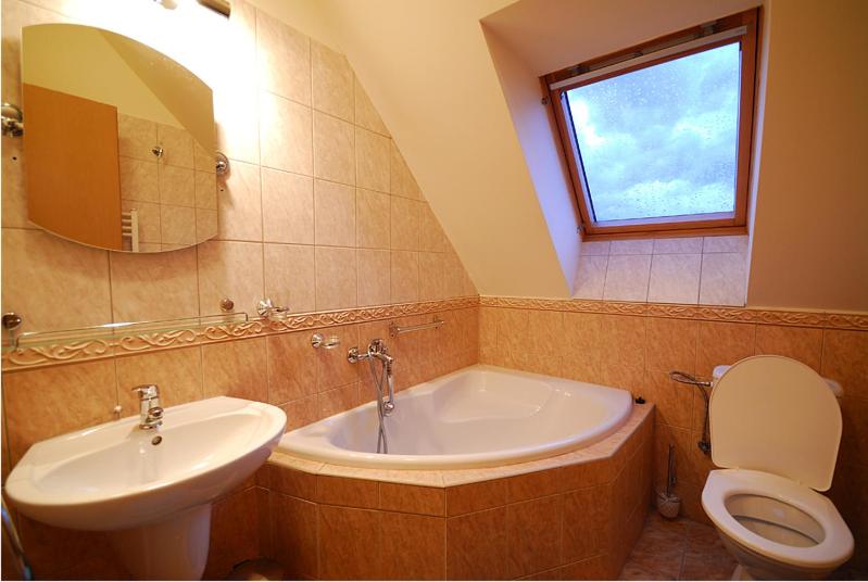 带1个卧室的豪华公寓, Penzion U šeliho