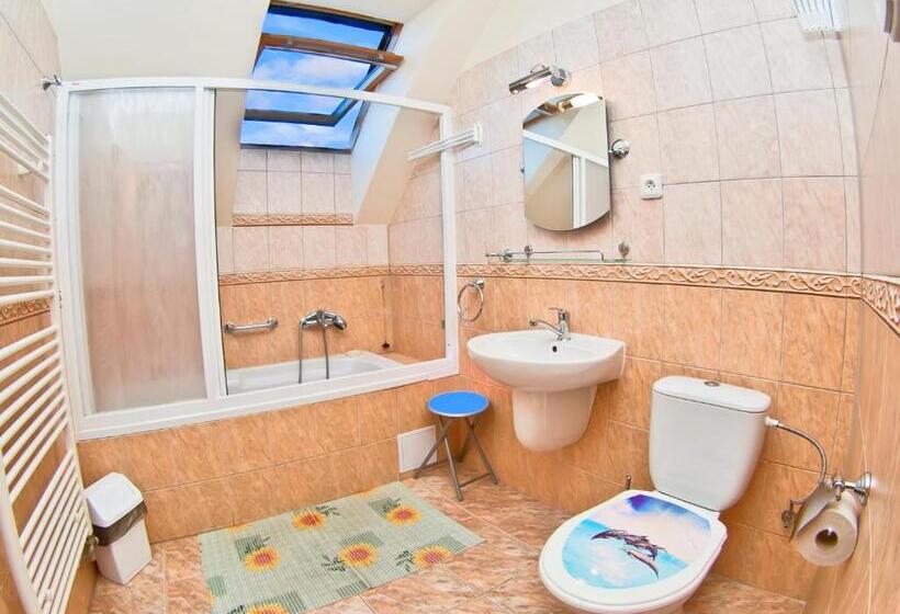 标准工作室, Penzion U šeliho