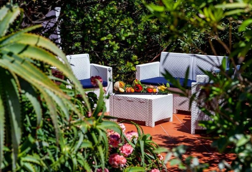 חדר סטנדרט, Casa Saltara