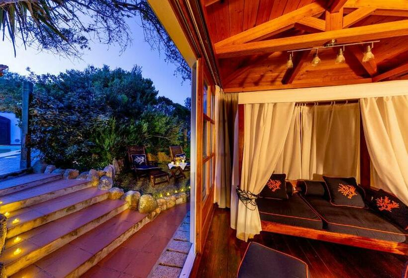 בקתה סטנדרטית, Casa Saltara