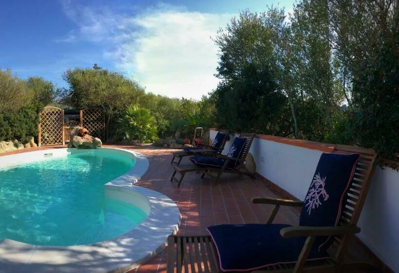 בקתה סטנדרטית, Casa Saltara