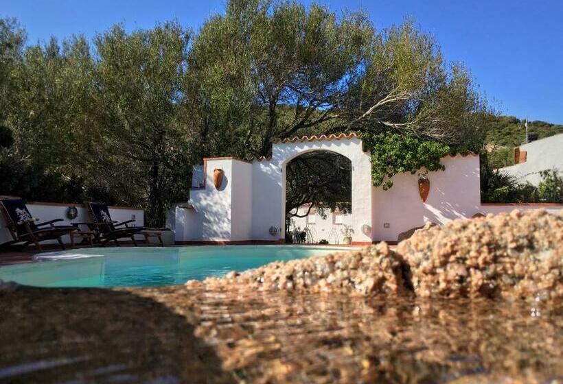 בקתה סטנדרטית, Casa Saltara