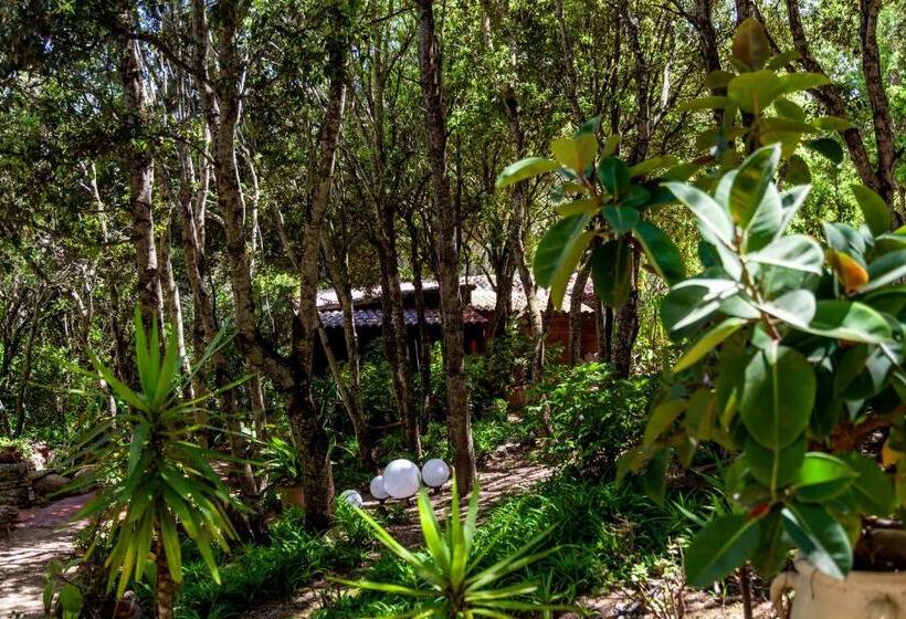 בקתה דלוקס, Casa Saltara