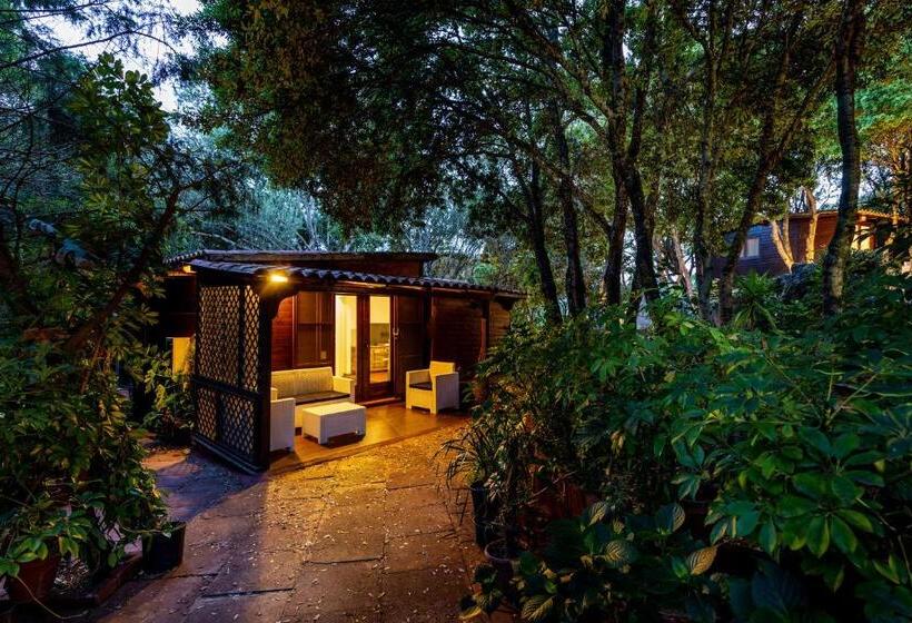 בקתה דלוקס, Casa Saltara