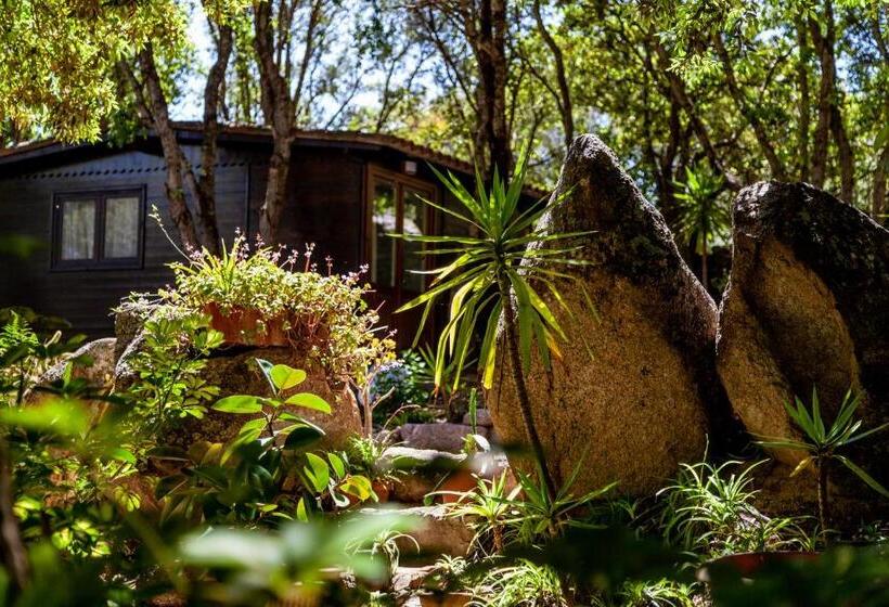 בקתה דלוקס, Casa Saltara